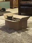 Tight box
