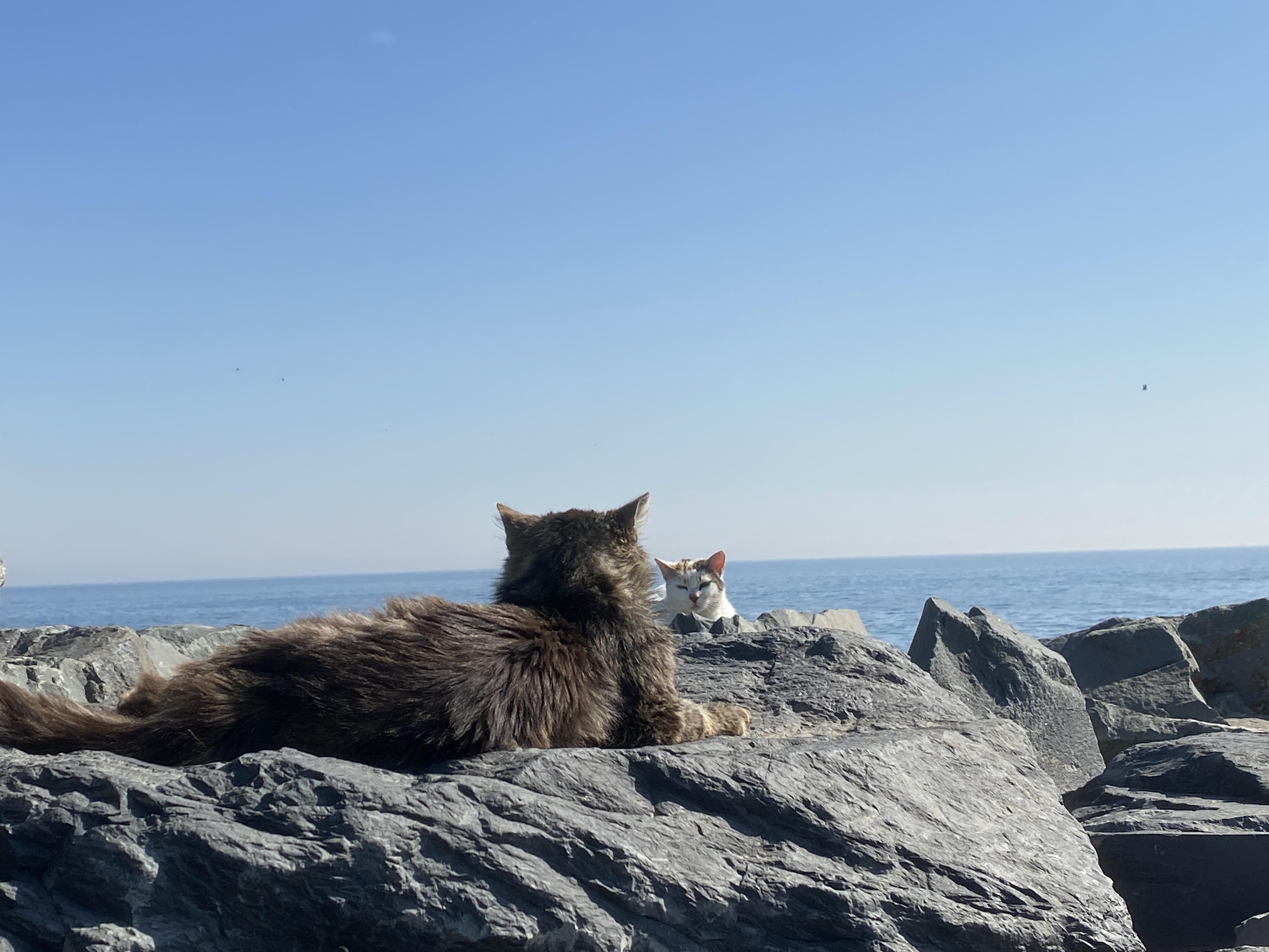 I see you you see me