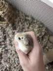 what is this?