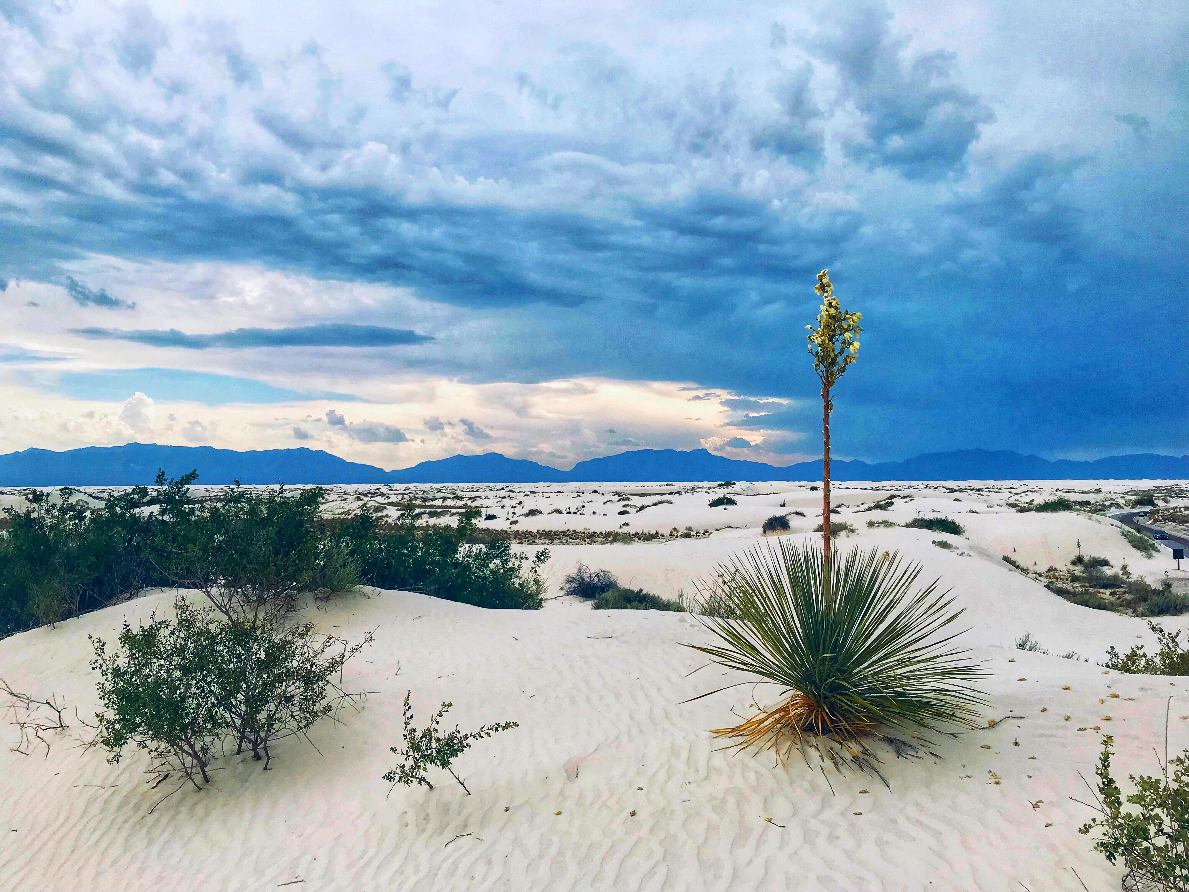 White Sands