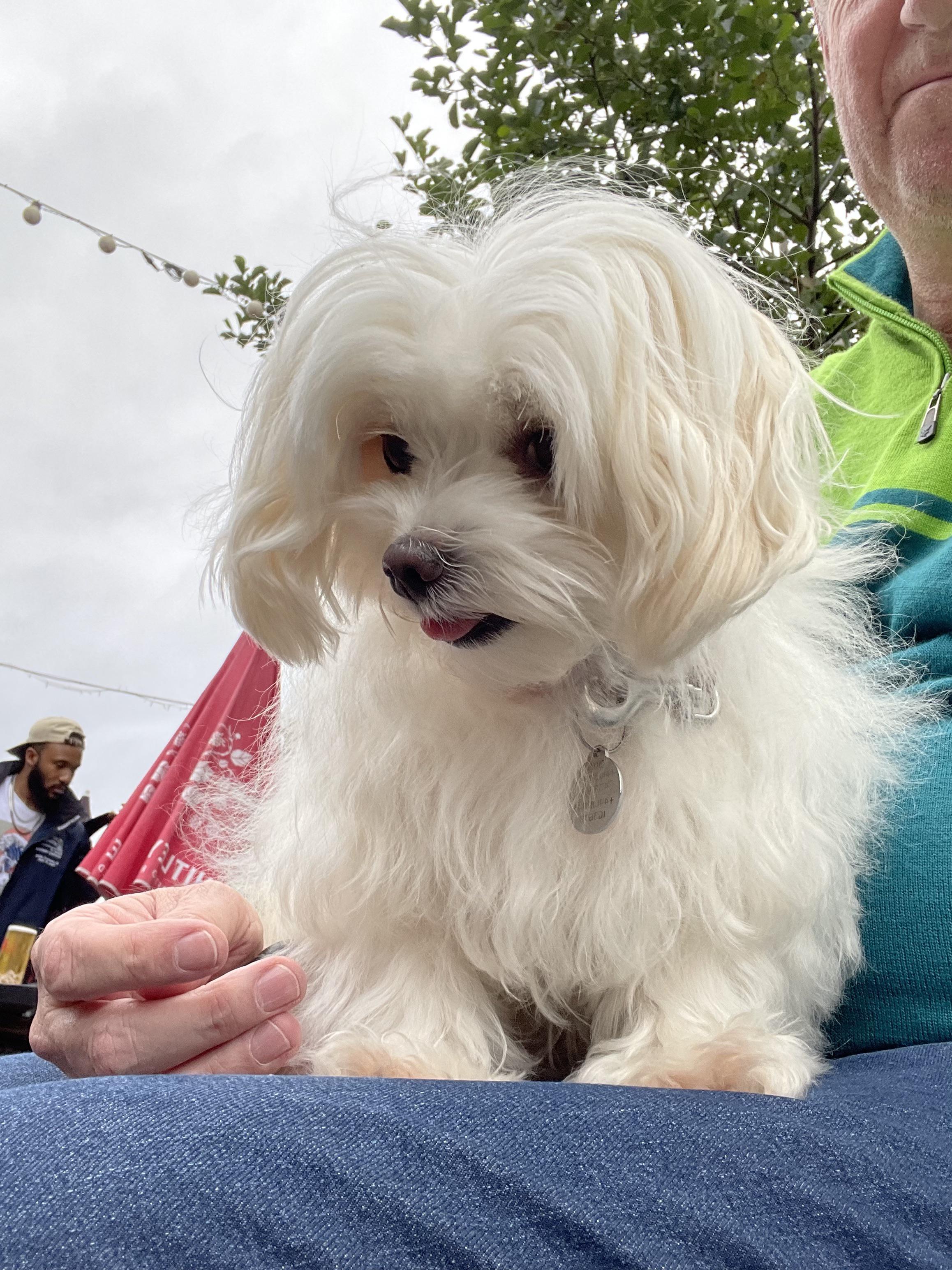 Diva with Daddy at the Pub.