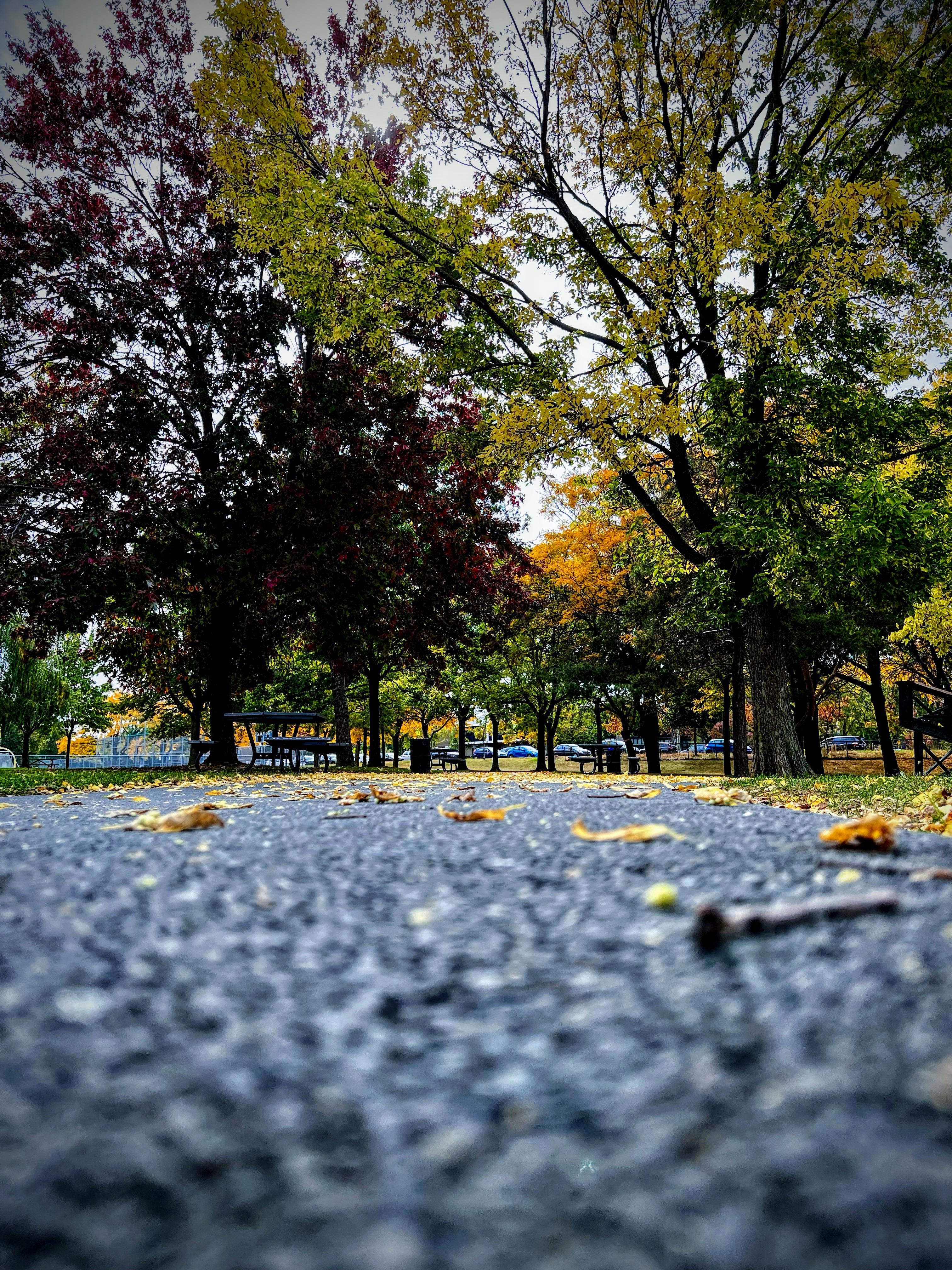 Montreal, Quebec, Canada