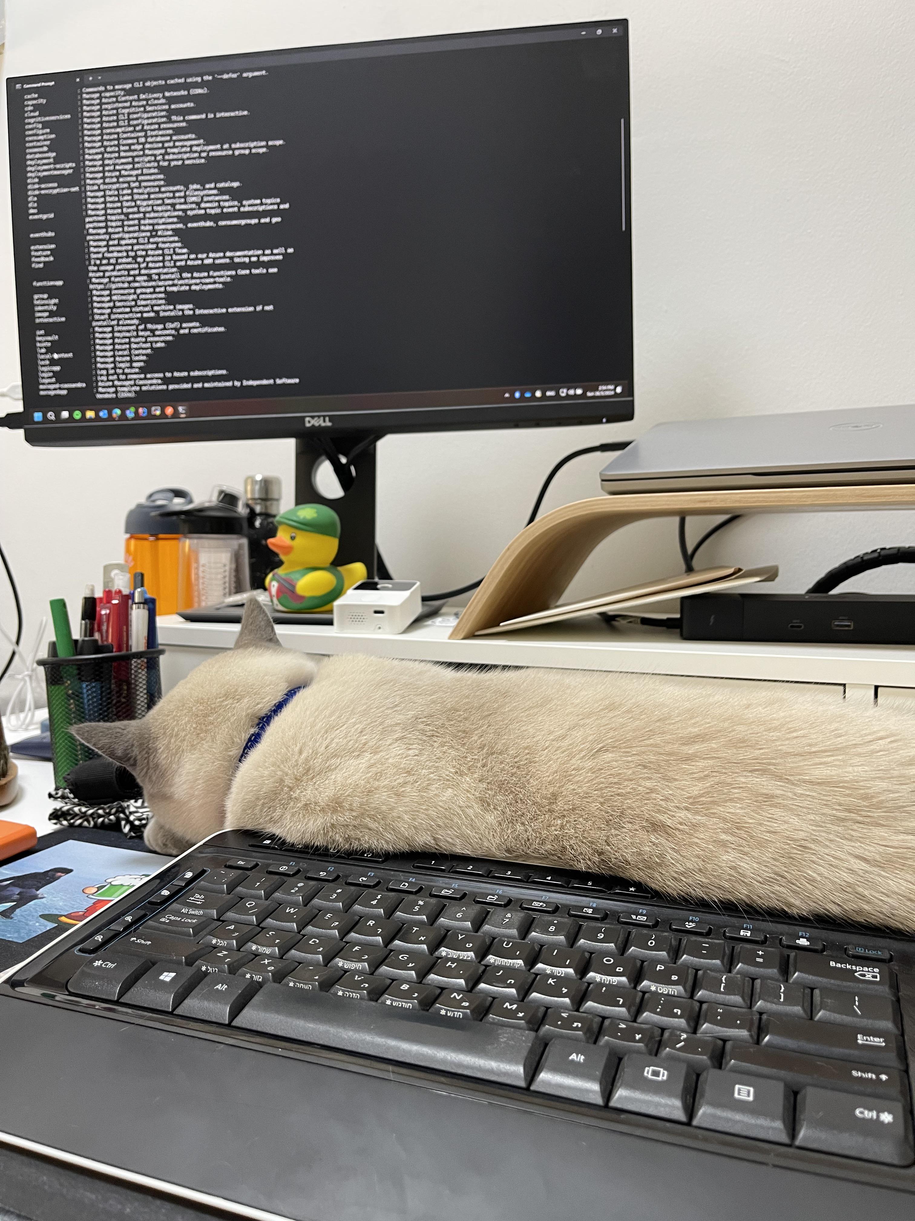 What my work desk looks like on a daily basis | Scrolller