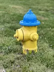 This fire hydrant looks like Marge Simpson.