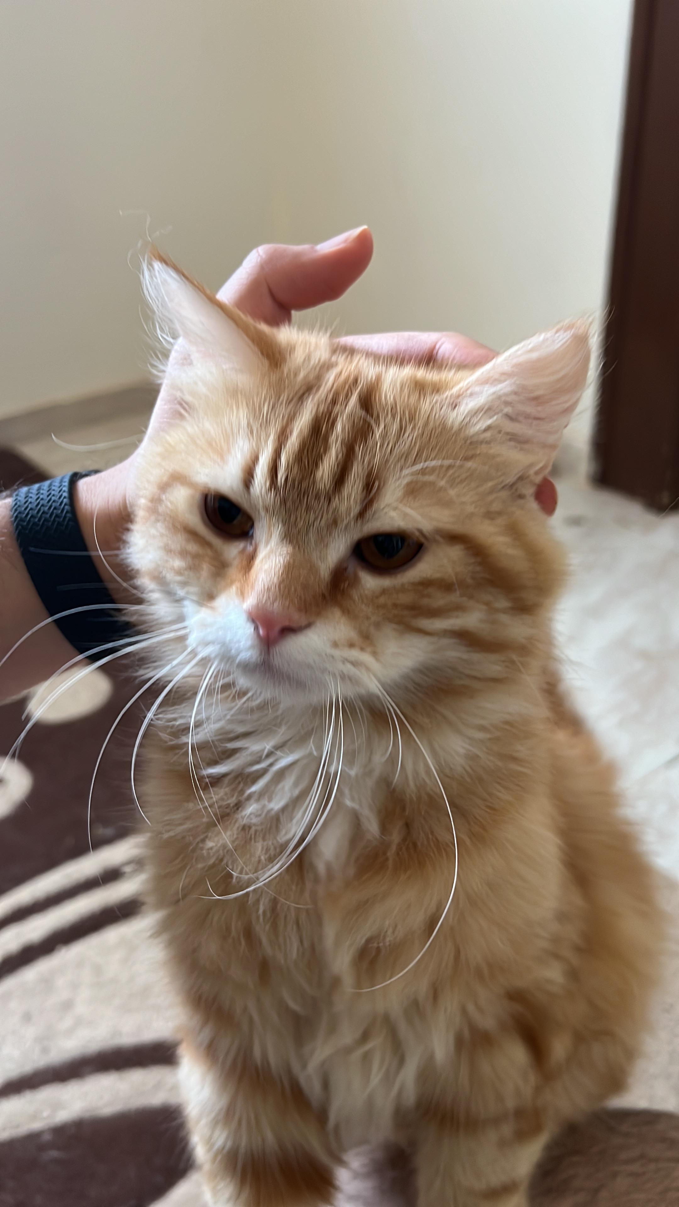 I ain't talking to you anymore!