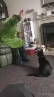 A person in a Grinch costume playing with a black cat using a toy wand in a living room.