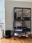 The golden trio.. Ferret Nation cage, Air Purifier, Roomba. Helps so much with dust + poop pellets!!