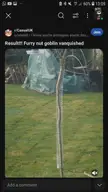Furry nut goblin vanquished