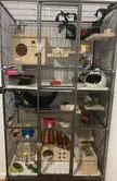 I’m currently saving for a 2nd cage to put Peach in (shes at the top) but since she’s still quite small she’s been doing great with this space (lots of popcorning!). What is everyones thoughts? Anything I should add or change in the meantime?