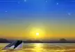 We All Live Under the Same Sky by Bandarai Art