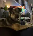 Welcome to the Good Boy Saloon, what’ll it be for you folks tonight?