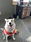 Working alone today so I called in my favourite co-worker