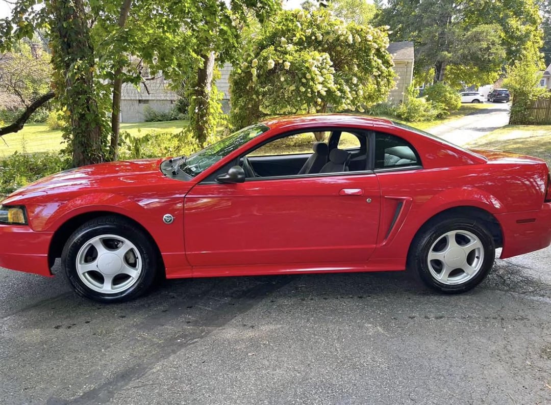 Mustang