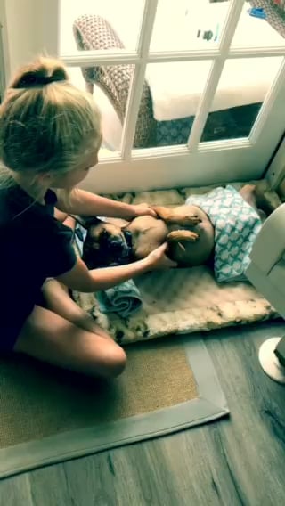 gentlemanimals