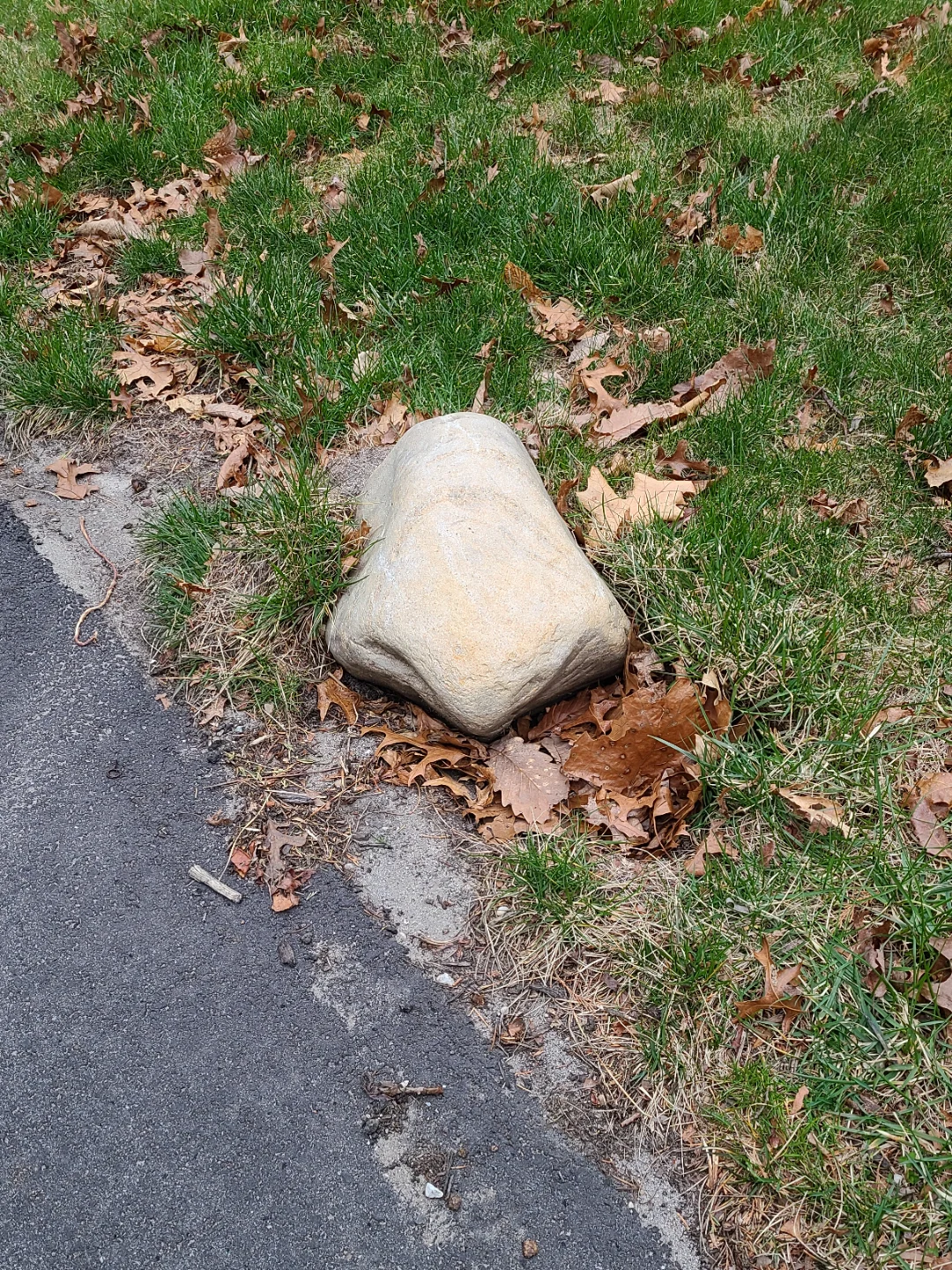 Scrolller Rocks This rock that looks like a nose | Scrolller