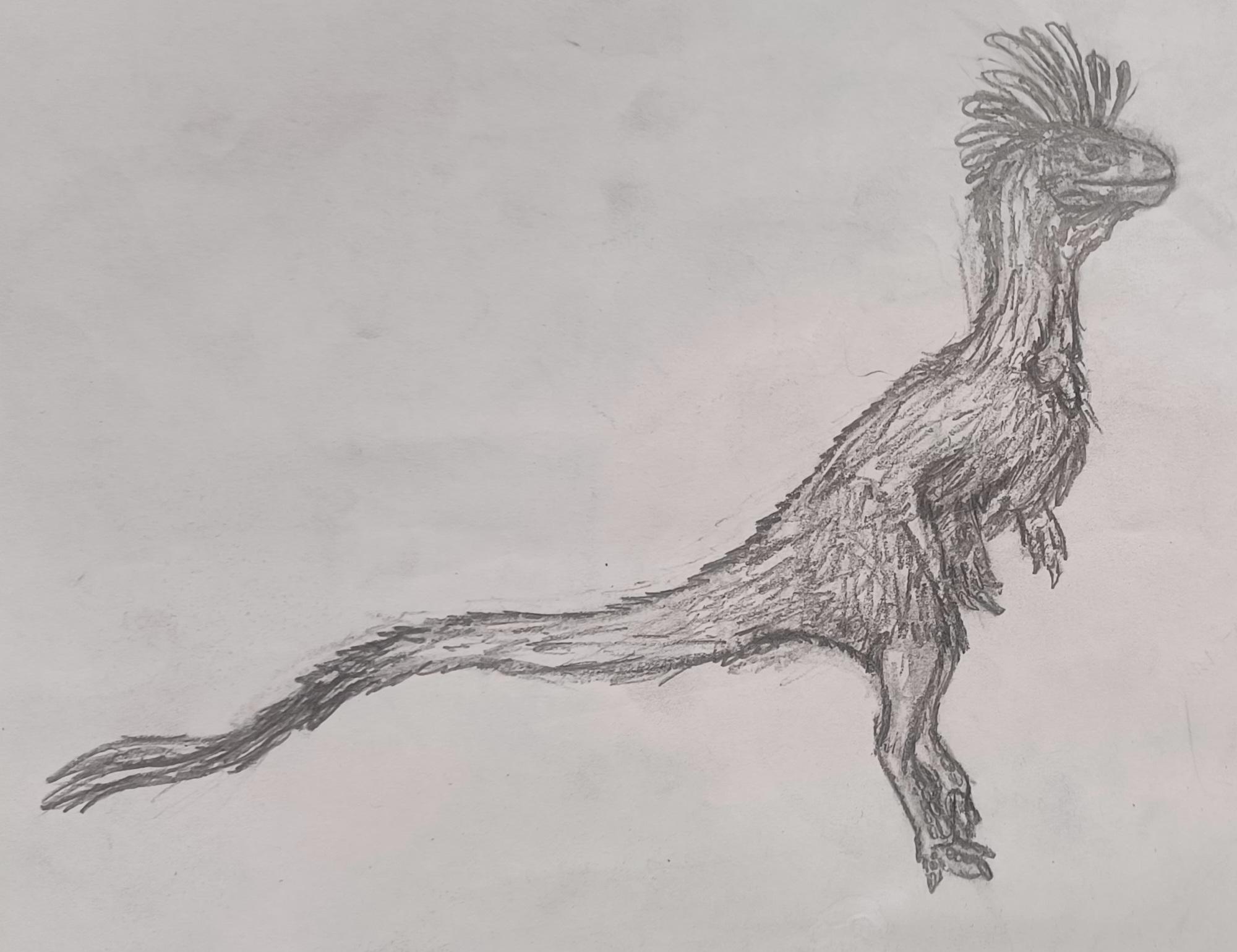 Masiakasaurus knopfleri