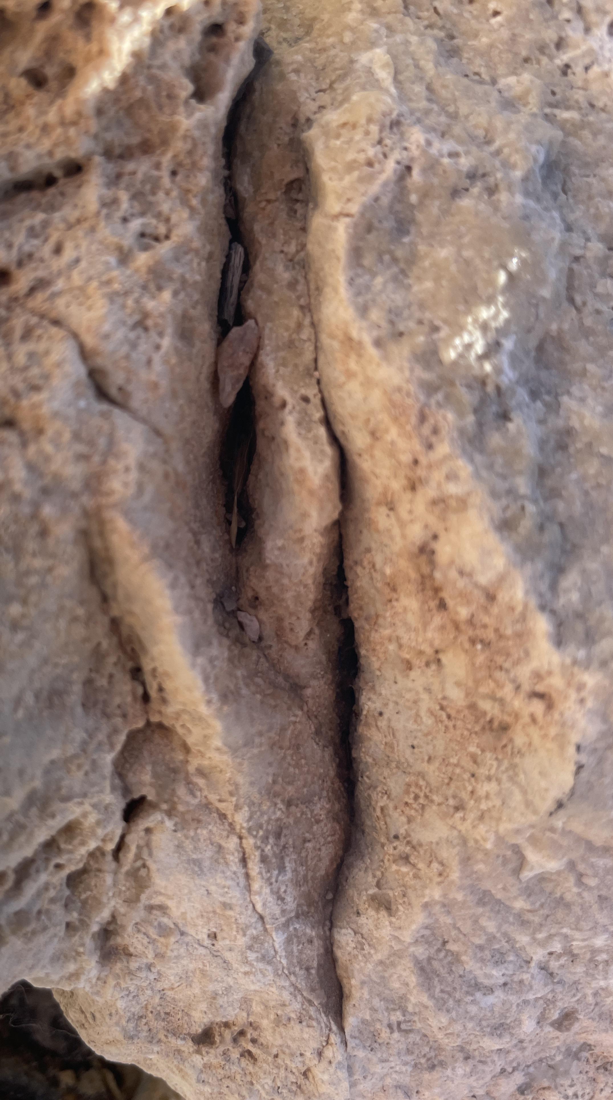 Scrolller Rocks Discover more like Dontputyourdickinthat: Rock on! and Related Content ...
