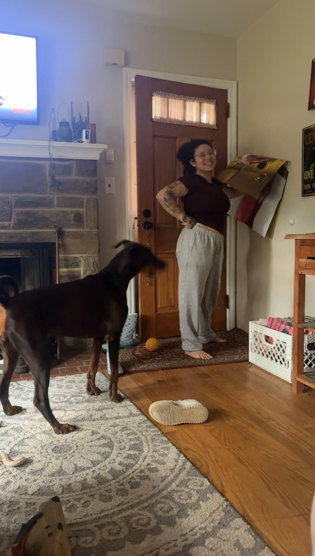 FunnyAnimals
