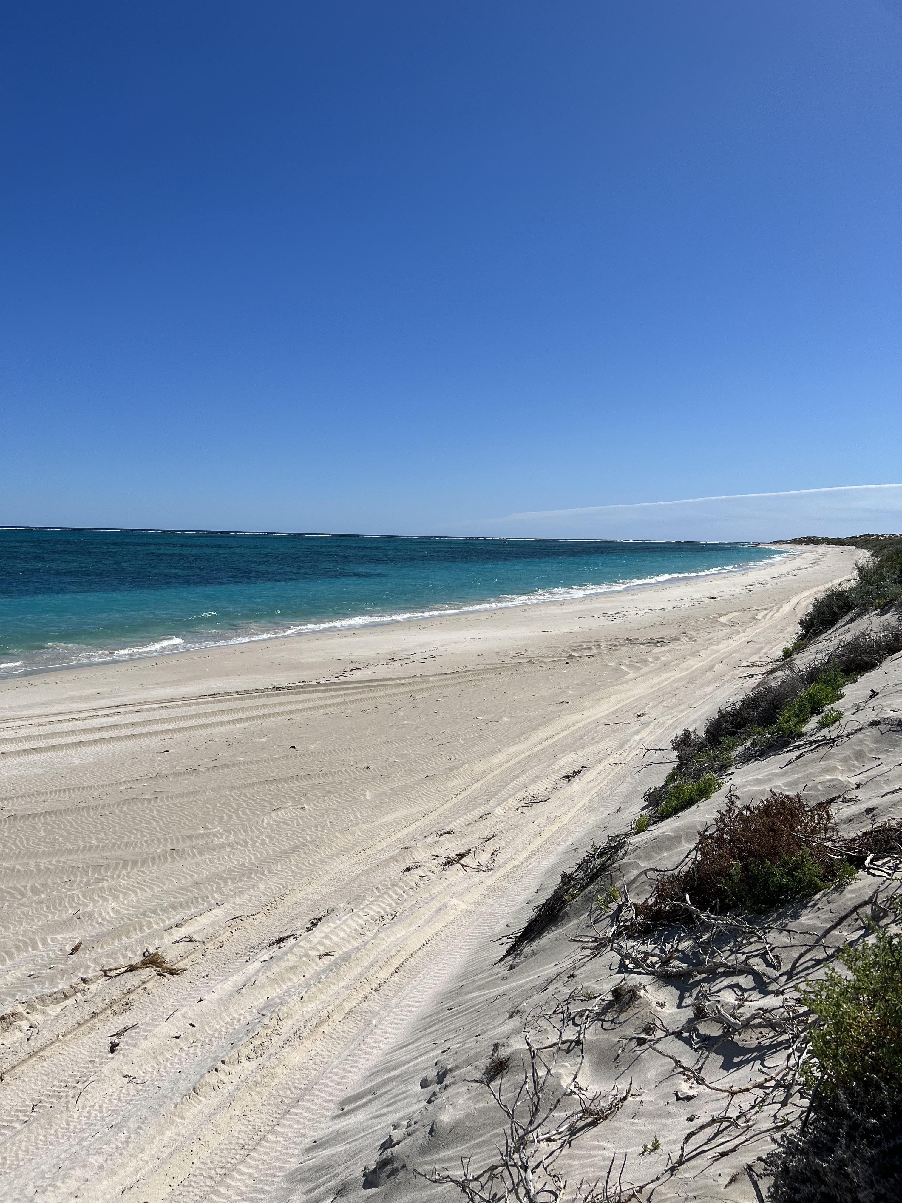 Five finger reef, coral bay, Western Australia