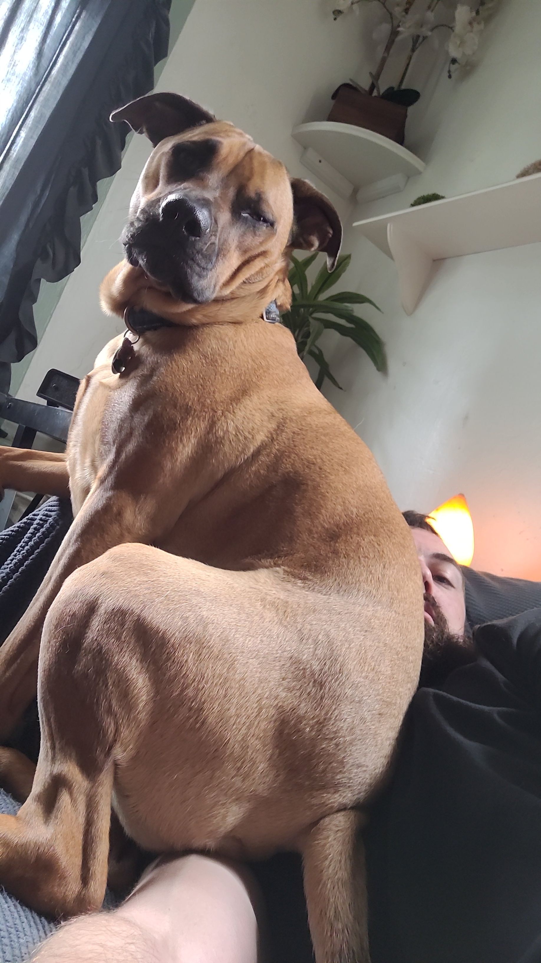 My April fool turned 3 yesterday ❤️