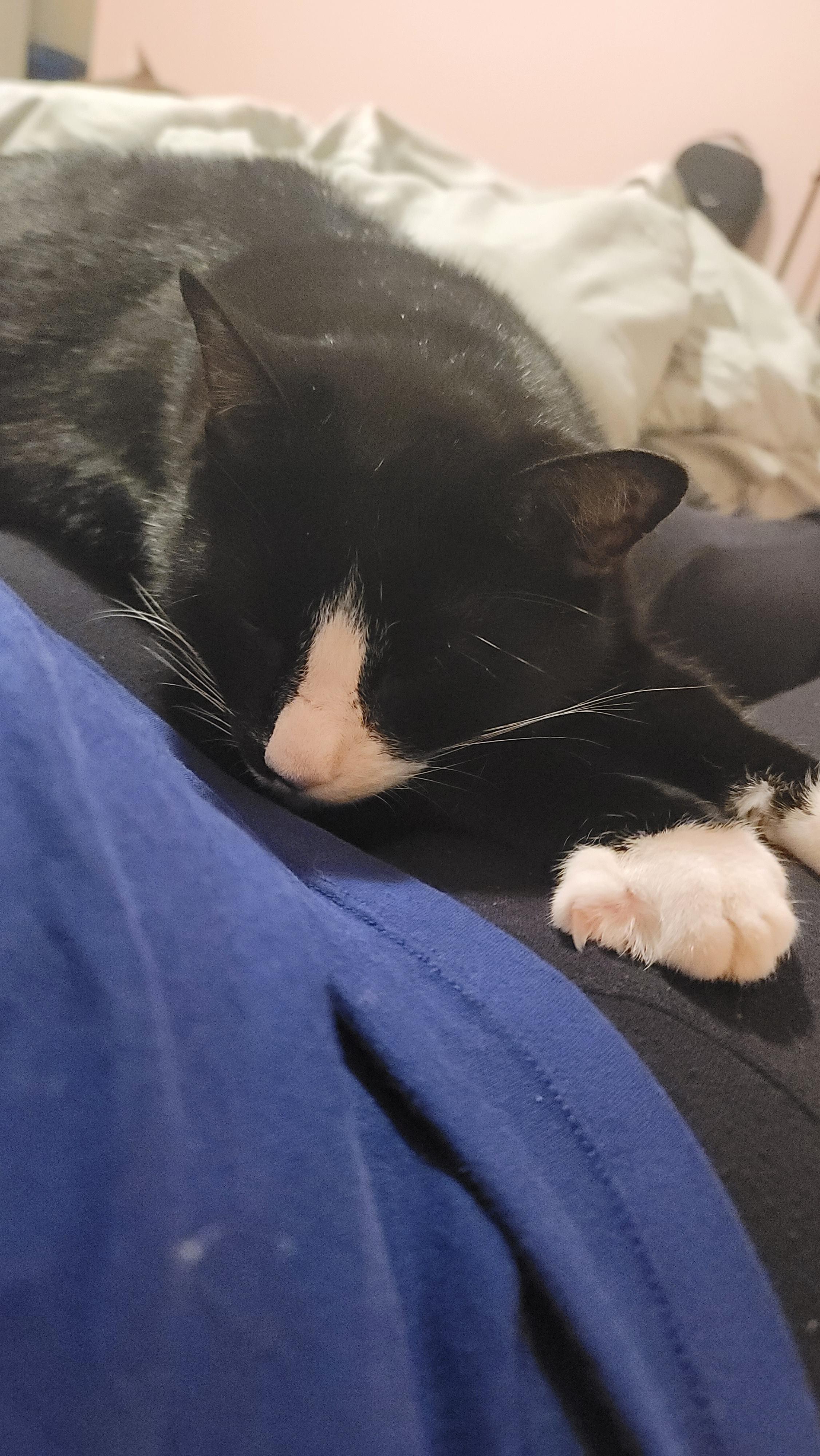 Snuggle time 💗