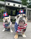 Happy Fourth of July!!!