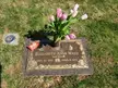 My Little Sister