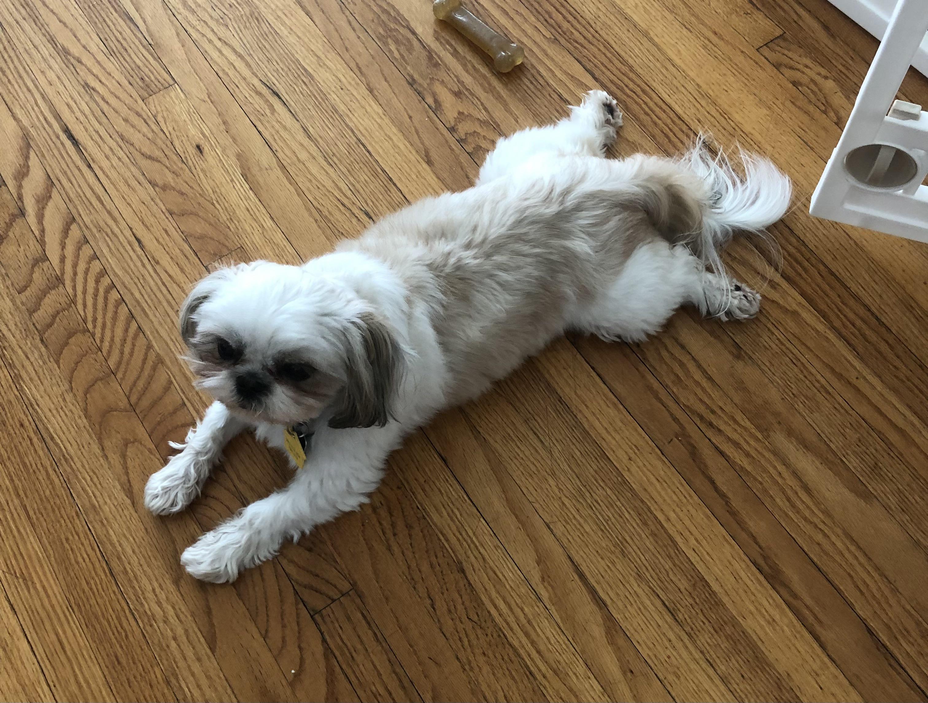 What do you call this position? Splayed? Sprawled? Spatchcocked?