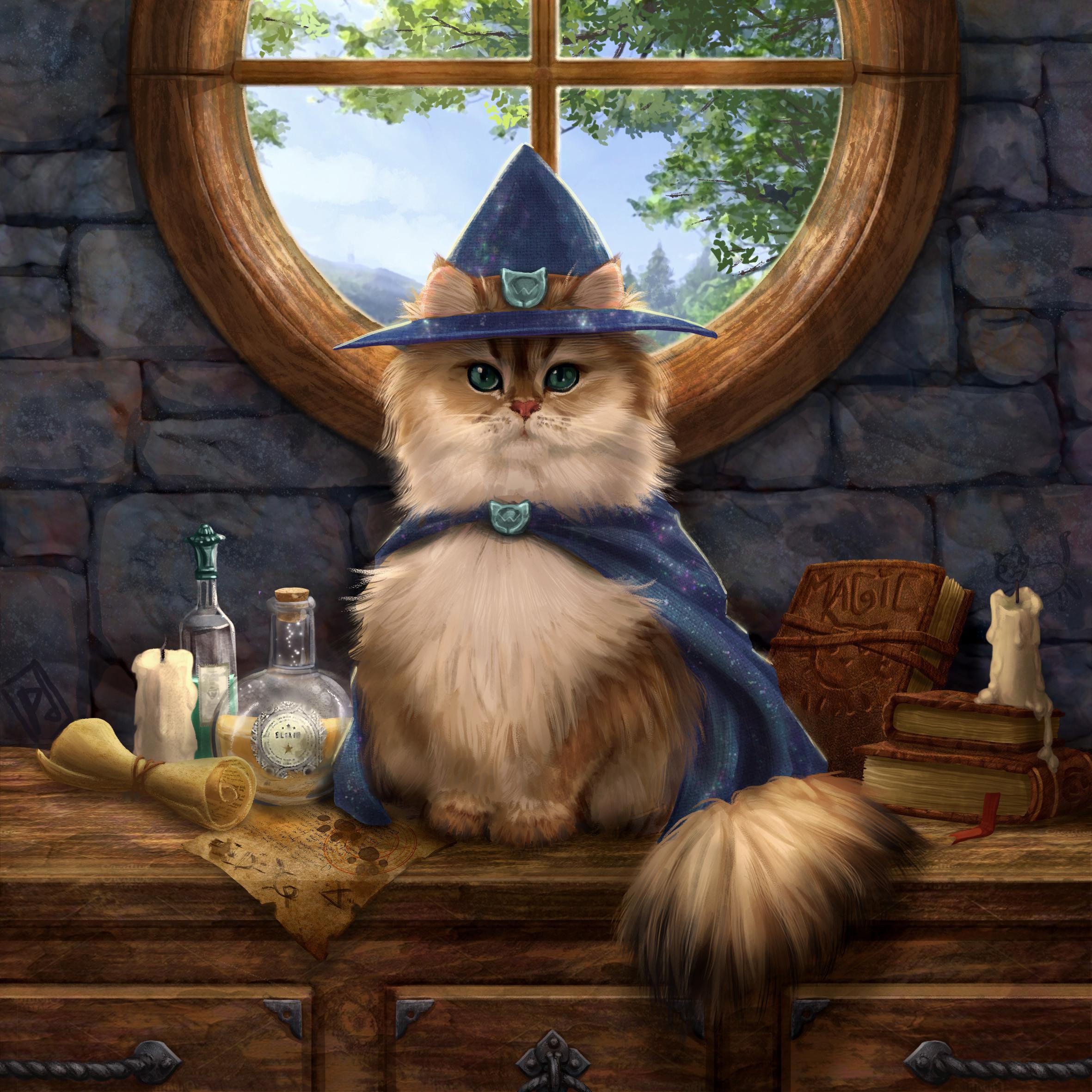 Merlin the Cat by artist Pauline Derouinau | Scrolller