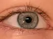 eyes