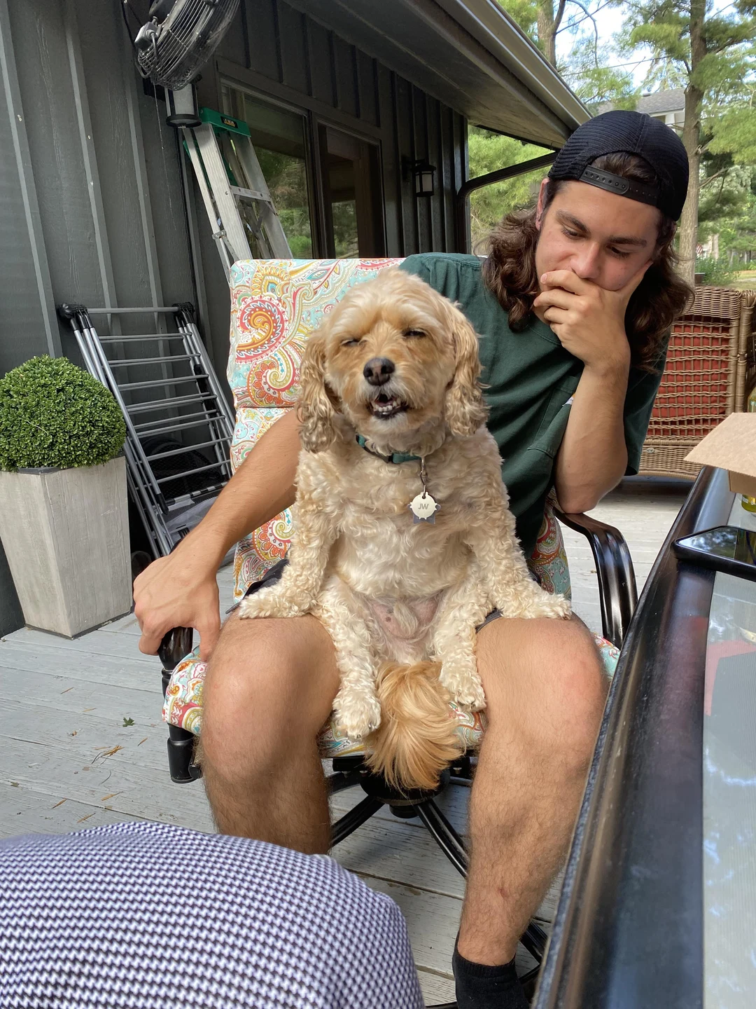 the-very-weird-way-my-dog-is-sitting-on-my-son-s-lap-scrolller