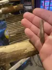 My chinchillas hold these wood shaving and chews them but it looks like he might be eating them. Not sure if he’s eating them to little pieces or eating them. If they are eating is it safe?