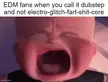EDM has too many subgenres