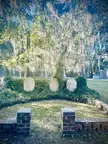 I live next to the most beautiful cemetery. South Carolina