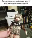 Tactical Ferret