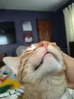 We beat FIP! Meet the bravest boy I know.