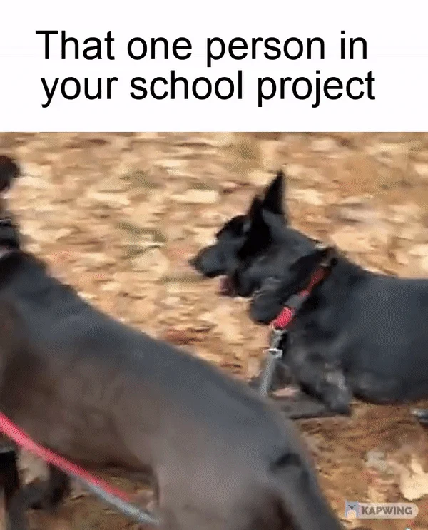 We all know that one person