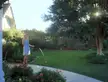 Good morning, neighbour