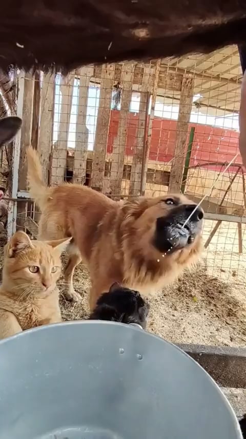 Aww so cute