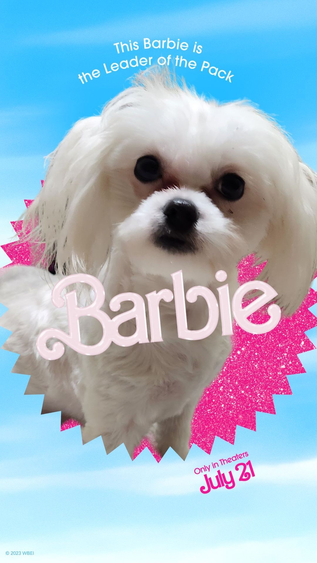 After seeing the handsome Ziggy I had to Barbie Meme my Emma 😃🩷