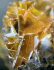 Wulfenite microscopic picture from China