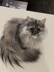 Spikey balls