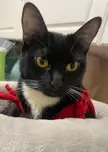 I smell rain 🙀