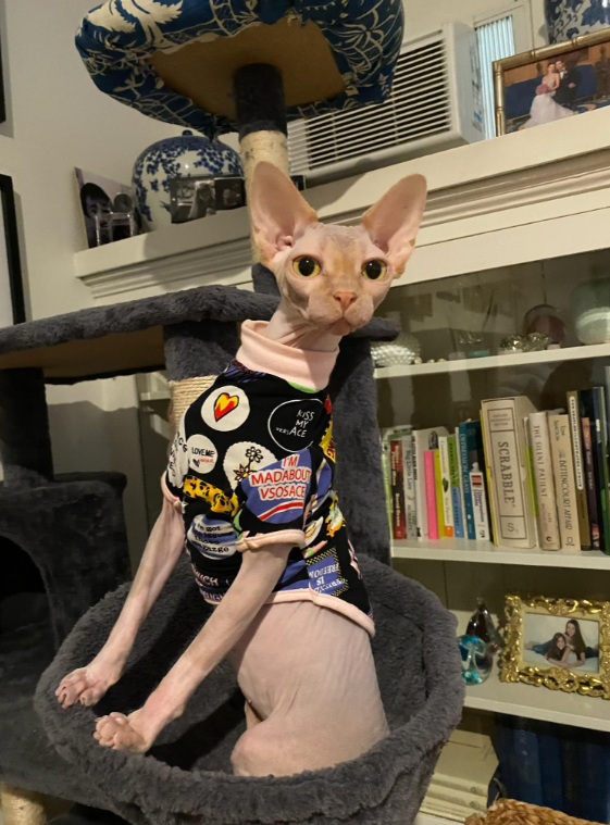 Maude's reaction to the doorbell