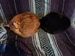 Halloween circle combo
