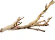 What natural wood, sticks, or logs or branches did you put in your cage for your hammie?