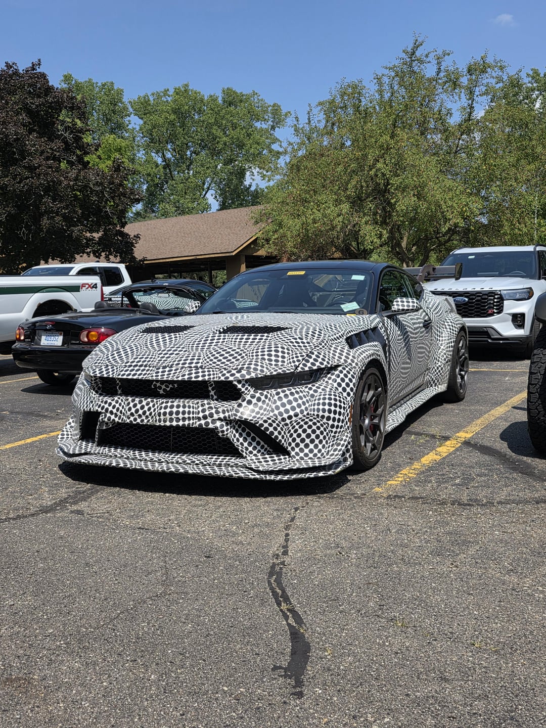Mustang
