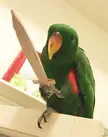 The new participant of House of Dragons. Do you think he's Green or Black?
