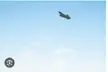Can anyone help me identify this plane? Spotted off the coast of okinawa, larger than a 747