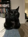 Just loafing around